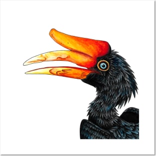 Rhinoceros hornbill bird Posters and Art